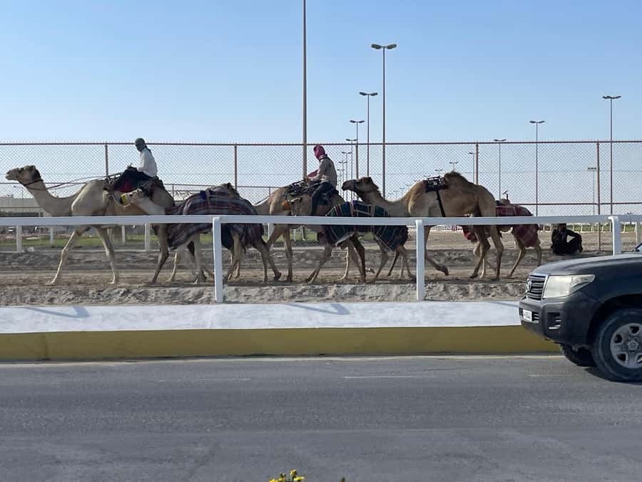 Doha Full Day North & West Tour | Rich History & culture - Mushroom-shaped hills make Zekreet a strong photo stop