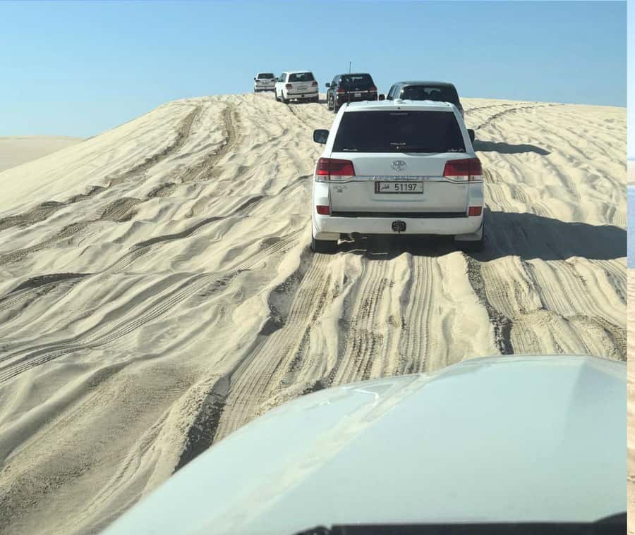 Doha: Guided Desert Safari Tour with Pickup & Drop Service - Optional extras you should check carefully