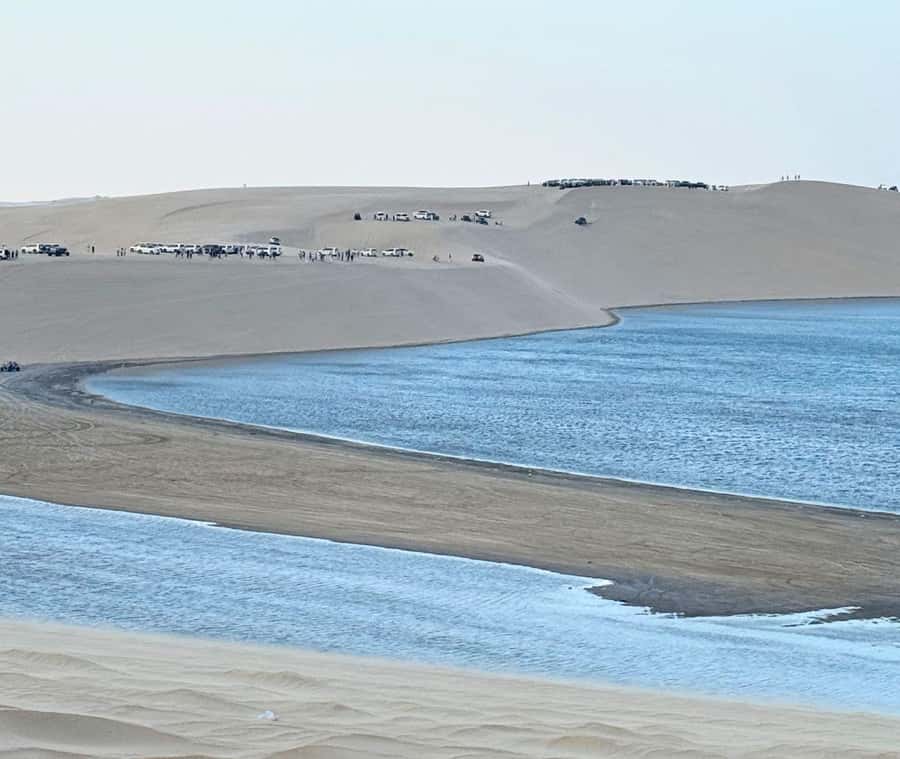 Doha: Guided Desert Safari Tour with Pickup & Drop Service - Pickup from Doha, the airport, or the cruise terminal