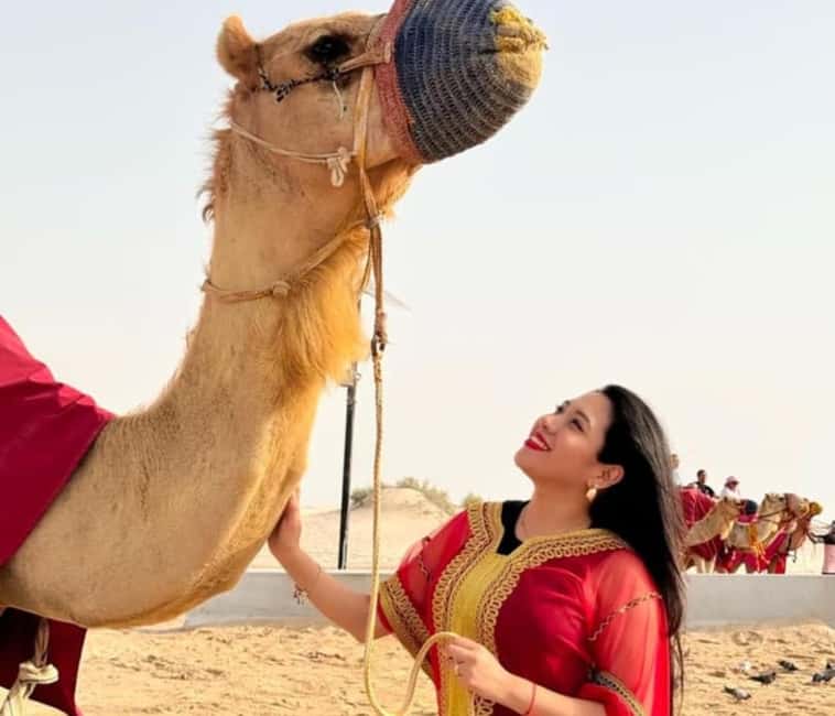 Doha: Half Day Desert Safari, Camel Ride , Sandboarding - Who should book this half-day safari?