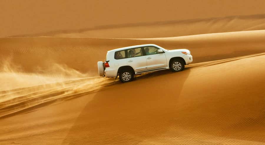 Doha: Half Day Desert Safari, Dune Bashing, Camel Ride - What the $24 price really gets you