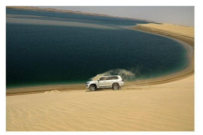 Doha Half Day Desert Safari Dune Bashing CamelRide & Sandboarding - Weather, Cancellation, and Booking Timing