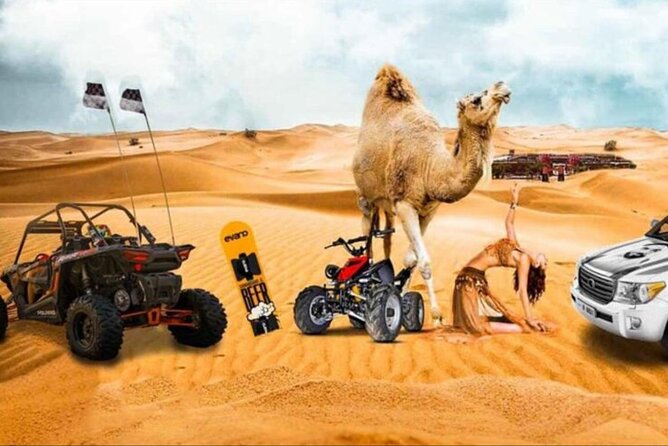 Doha: Half Day Desert Safari with Camel Ride and Inland Sea Tour - Key points to know before booking
