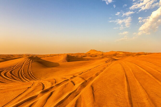 Doha Half Day Desert Safari with Camel Ride and Sand Boarding - The Inland Sea is the visual payoff