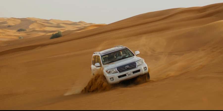 Doha: Half Day Desert Safari With Camel Ride & Sand Boarding - Red dunes and controlled dune bashing