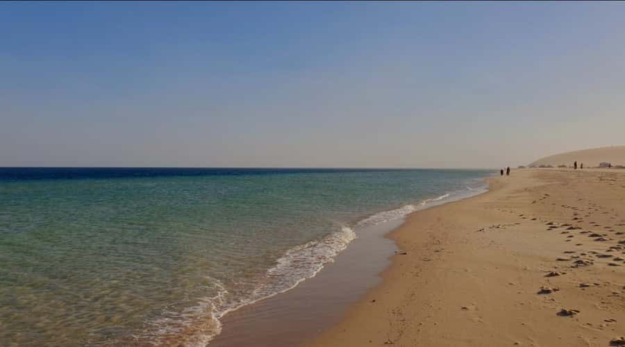 Doha: Half Day Desert Safari With Camel Ride & Sand Boarding - A glimpse of The Pearl-Qatar before or after the desert