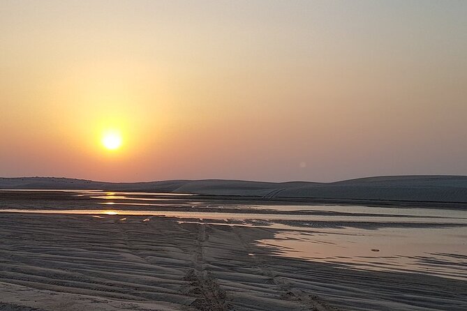 Doha : Half Day Desert Safari With SandBoarding and Camel Ride - What the $60 price really covers