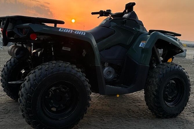 Doha-Half Day Safari with Quad Bike ATV/Camel Ride/sandboard - The 250cc ATV session: fun with clear limits