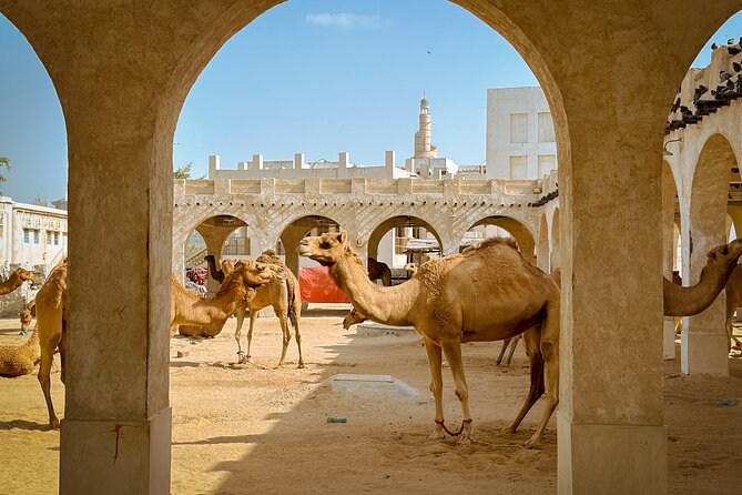 Doha Highlights Private City Tour with Licensed Tour Guide - National Museum of Qatar: a final look at the country’s story