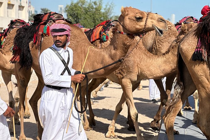 Doha Highlights Private City Tour with Licensed Tour Guide - What the private guide adds