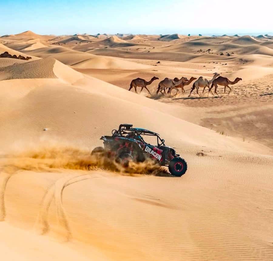 Doha: Inland Sea, Desert Safari, Camel Ride and Sandboarding - Who will enjoy it most?