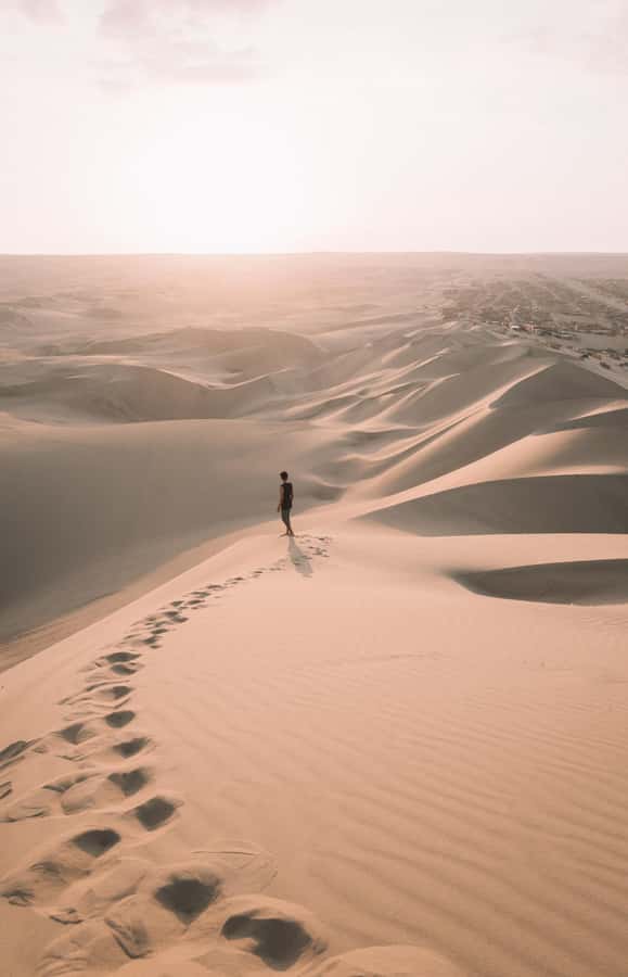 Doha : Inland Sea Desert Safari ,Camel Ride & Sandboarding - Is $15 good value?