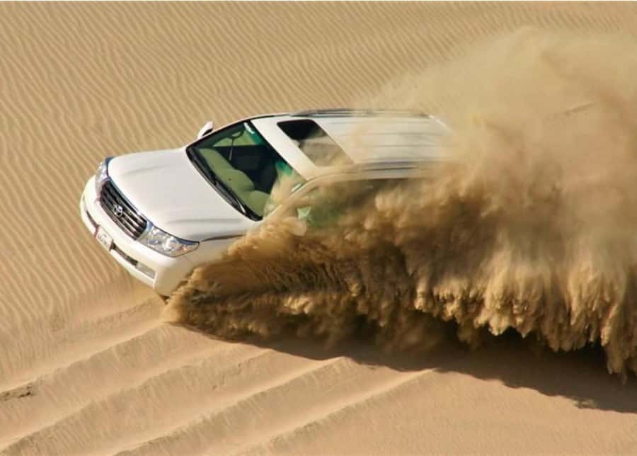 Doha : Inland Sea Desert Safari ,Camel Ride & Sandboarding - Meeting the ship of the desert