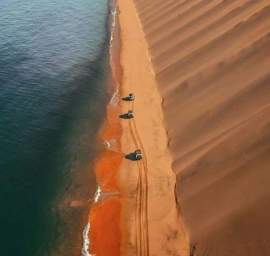 Doha: InlandSea Tour,Camel,Sand Boarding With All Activities - Dune bashing with a professional driver