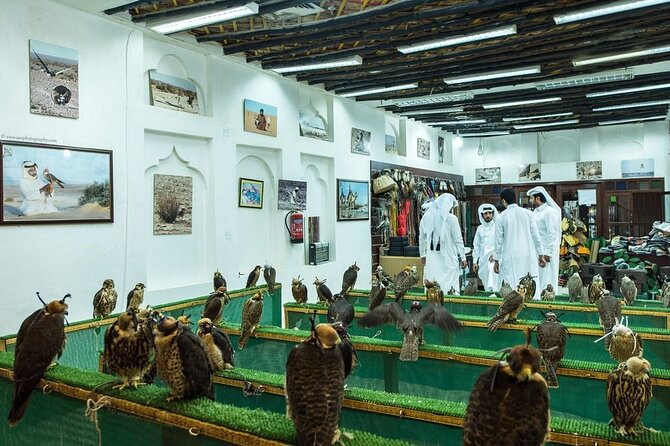 Doha Layover City Tour - Is $78 a fair price?