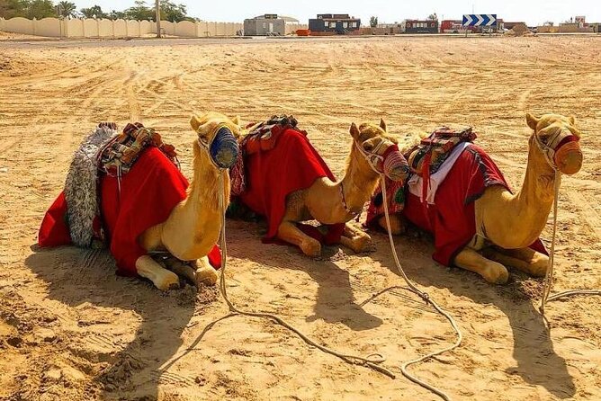 Doha Layover Desert Safari, Camel Ride, Sand Boarding, Inland Sea - Reaching Khor Al Udaid and the Inland Sea