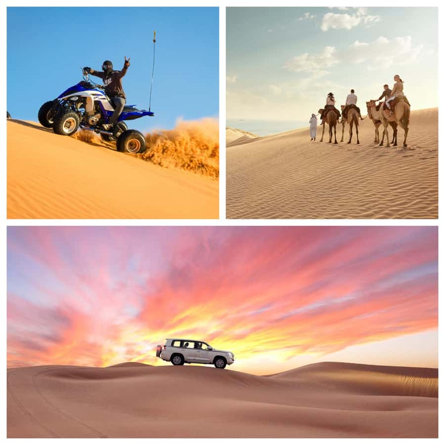 Doha Layover Desert Tour, Camel Ride and Inland sea - Key points to know before booking