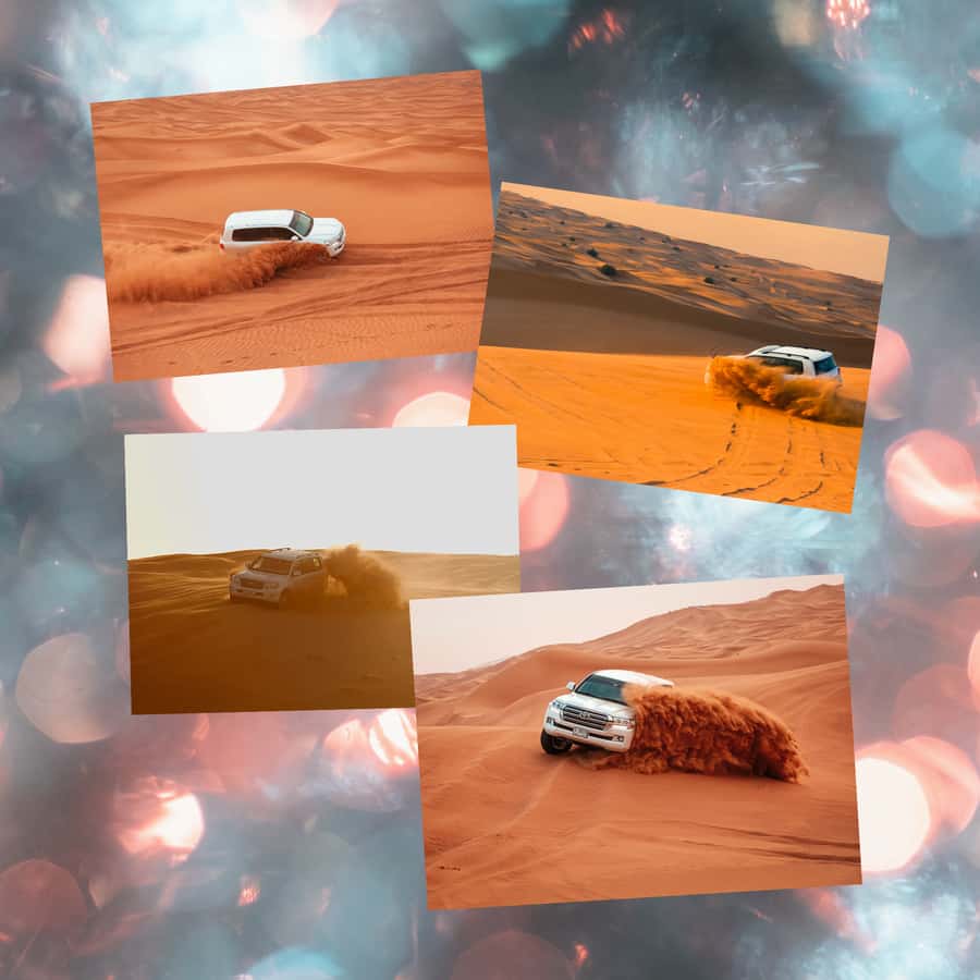 Doha Layover Desert Tour, Camel Ride and Inland sea - Practical tips for getting more from the trip