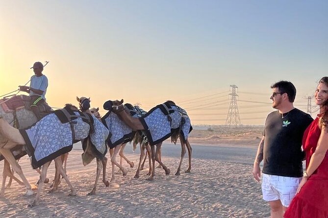 Doha Layover or Doha Stopover Tour with Desert & City Tour - Key Points Before You Book