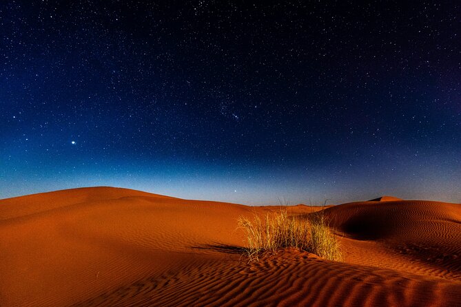 Doha Night Desert Safari Adventure - Dune bashing across Qatar’s high sand