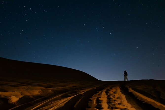 Doha Night Desert Safari Camel Ride Dune Bashing with Transfer - Food, tea, and the question of value