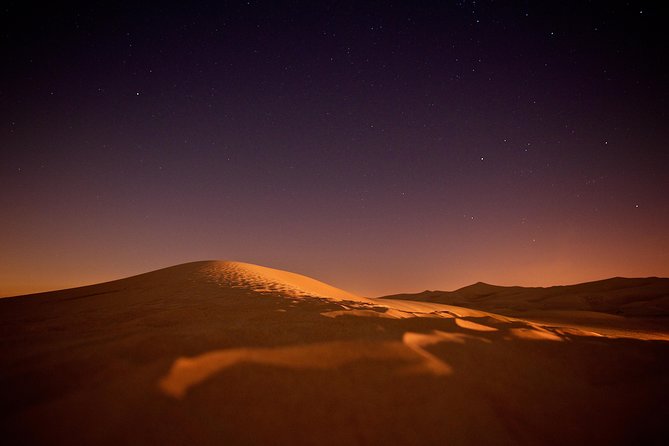 Doha Night Desert Safari Camel Ride Dune Bashing with Transfer - Who should book this desert experience?