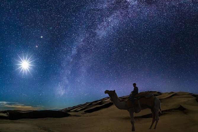 Doha Night Desert Safari Camel Ride Dune Bashing with Transfer - From Doha pickup to the refinery lights
