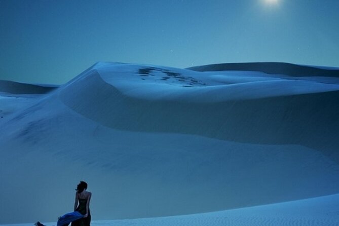Doha Night Desert Safari Stargazing Dune Drive Camel Ride - Dune bashing across the golden sand