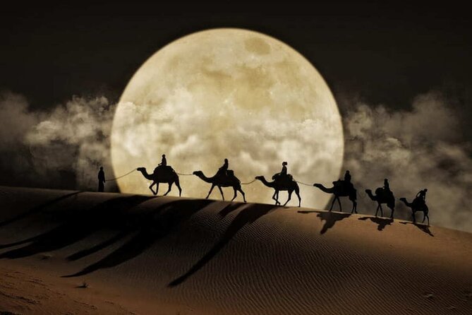 Doha Night Desert Safari Stargazing Dune Drive Camel Ride - Sealine Beach, where sand meets the Gulf