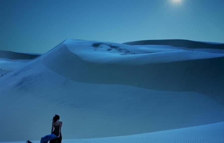 Doha: Night Desert Safari, Stargazing, Dune Driving &Inland - Stargazing under Qatar’s open sky