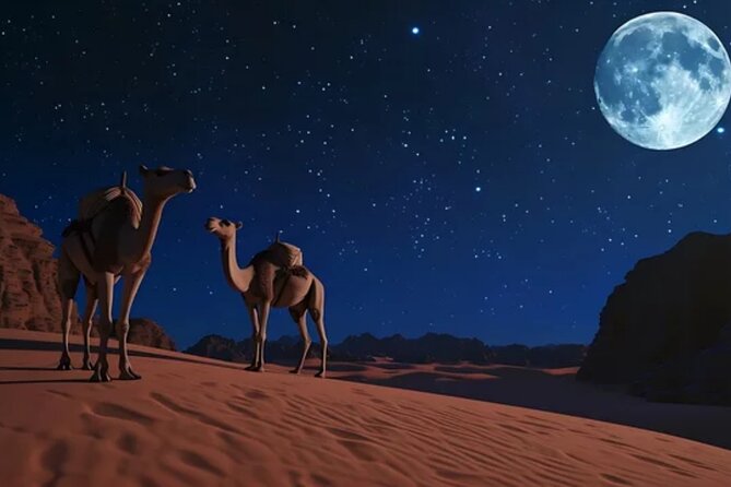 Doha Night Desert Safari, Stargazing, Photography، Relaxation - What $77.50 per person really covers