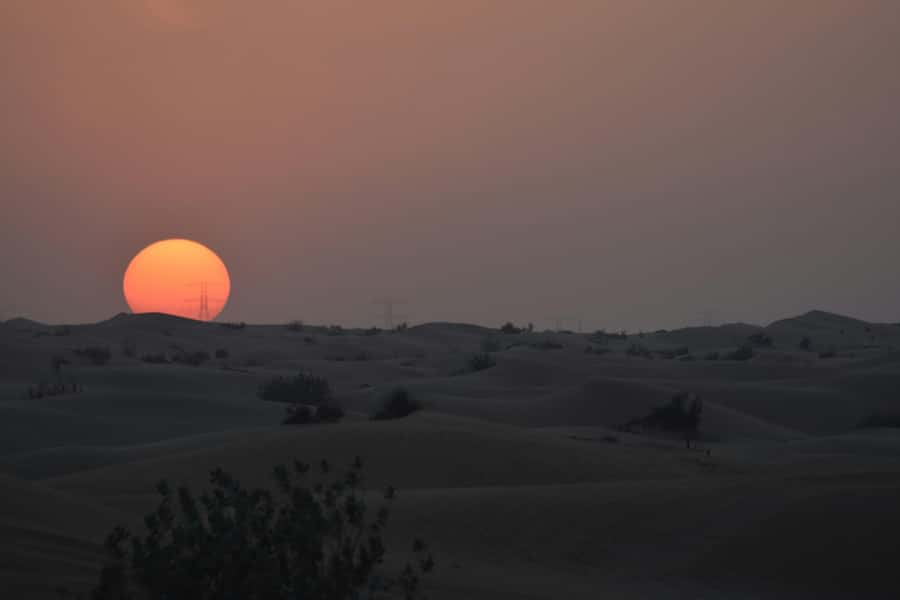 Doha: Night Desert Safari with Camel Ride and Sandboarding - Key points to know before you book
