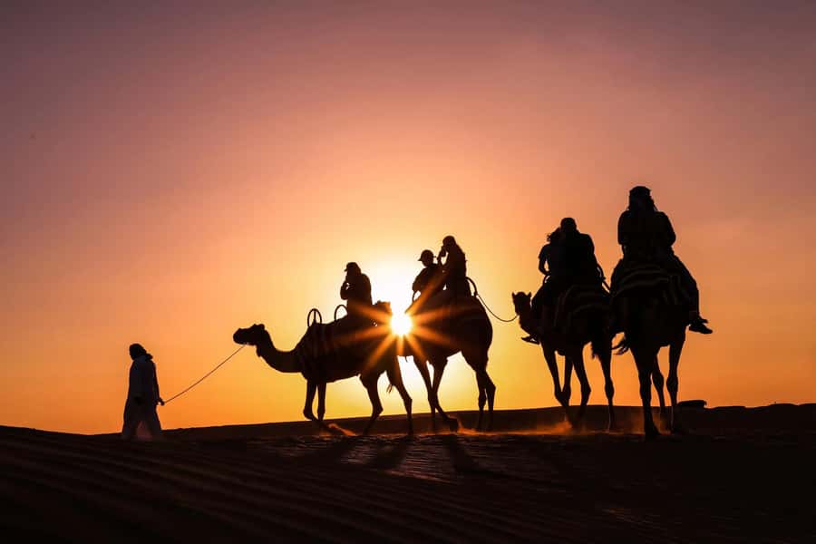Doha: Night Desert Safari with Camel Ride and Sandboarding - From Doha to the open desert