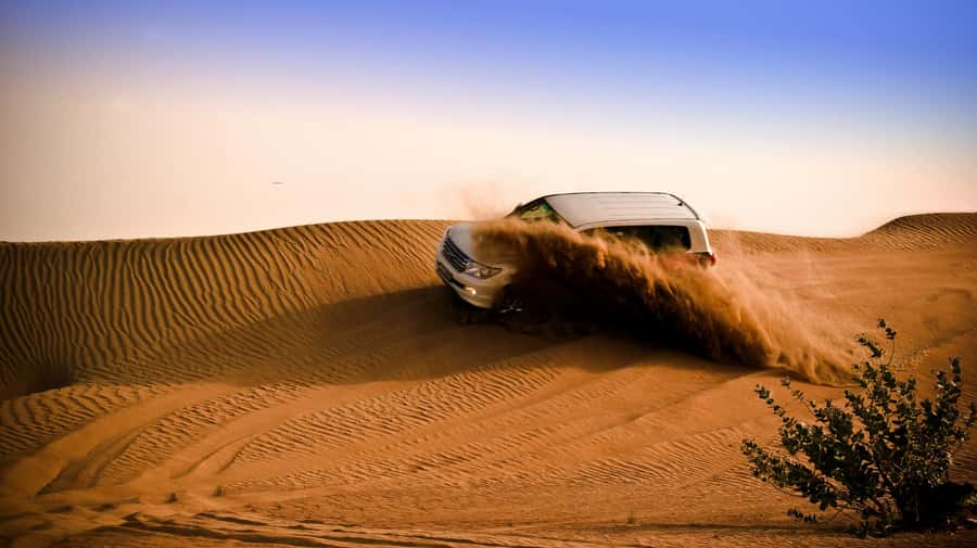 Doha: Night Desert Safari with Camel Ride and Sandboarding - The Inland Sea and a short camel ride