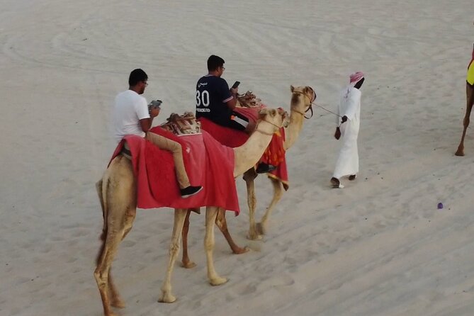 Doha-Night Desert Safari with Sand Board and Camel Ride - Meeting the camels in a quieter moment