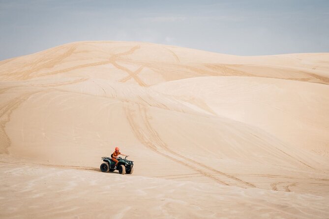 Doha-Night Desert Safari with Sand Board and Camel Ride - Sealine Beach, where sand meets the sea