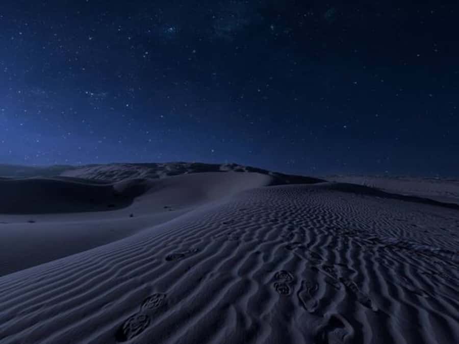 Doha: Night Desert Safari with Stargazing & Camel Ride - Key things to know before you book