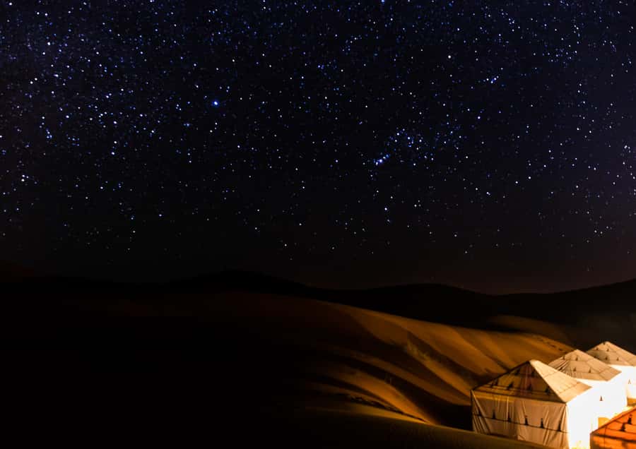 Doha: Night Desert Safari with Stargazing & Camel Ride - Shared or private: choosing the right format
