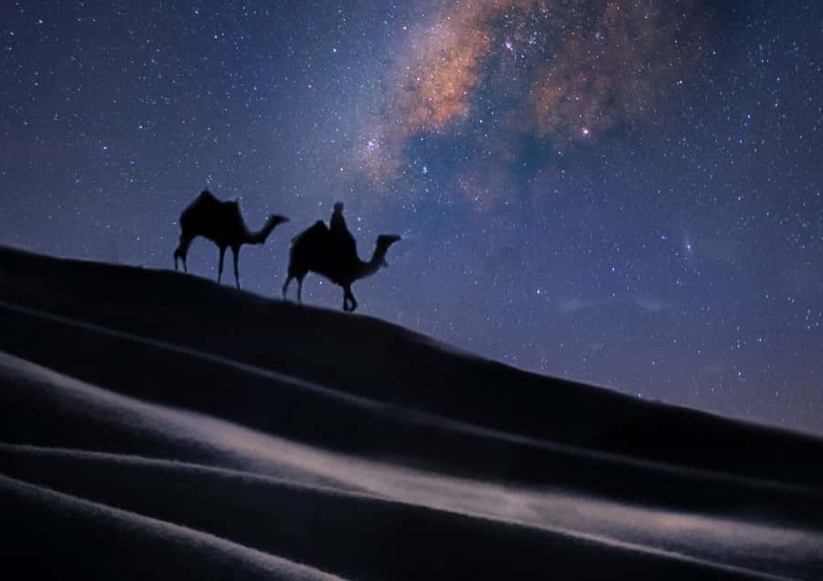 Doha: Night Desert Safari with Stargazing & Camel Ride - Practical advice for a smoother evening
