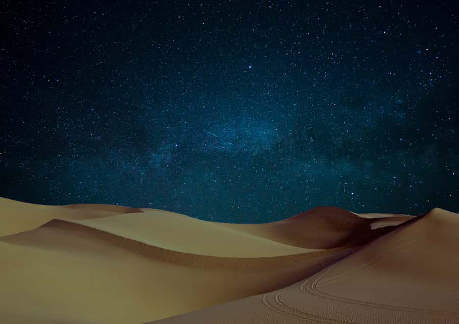 Doha: Night Desert Safari with Stargazing & Camel Ride - Who will enjoy this Doha desert safari most?