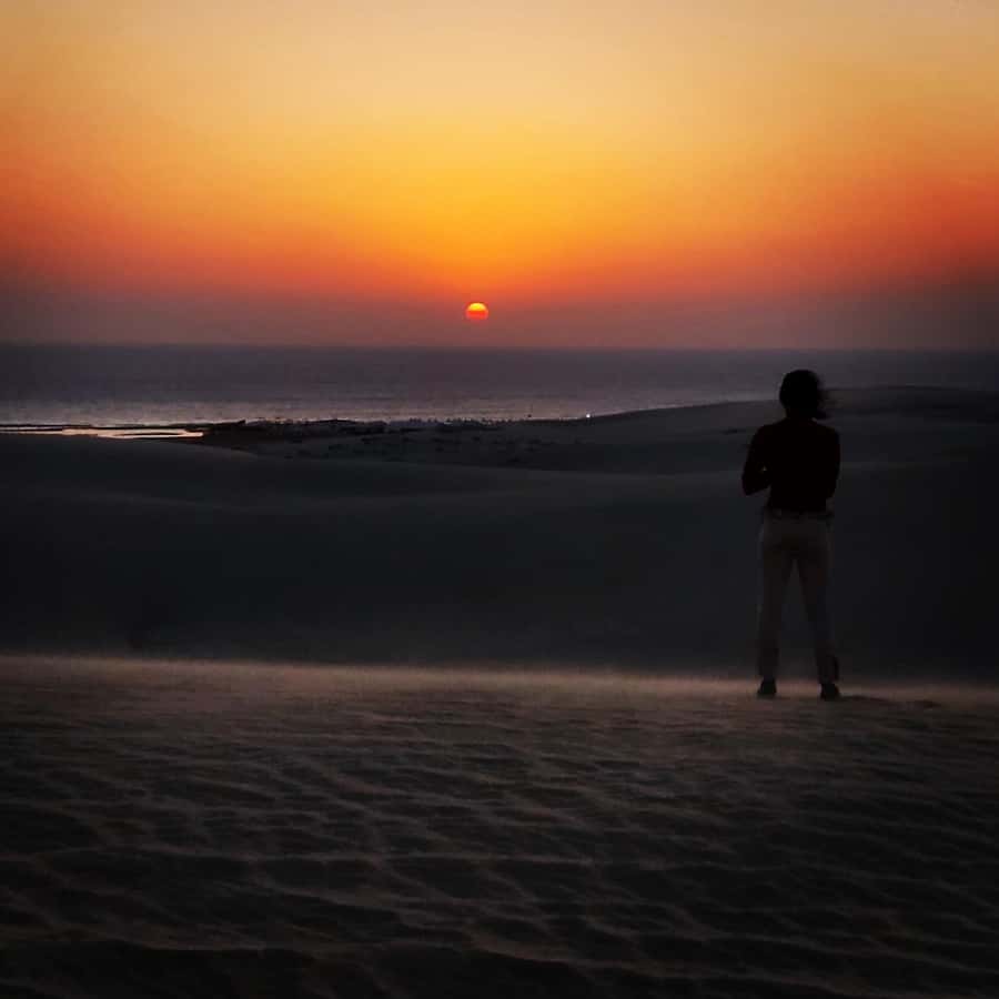 Doha: Night DesertSafari DuneBashing Sandboarding CamelRide - Five things to know before you book