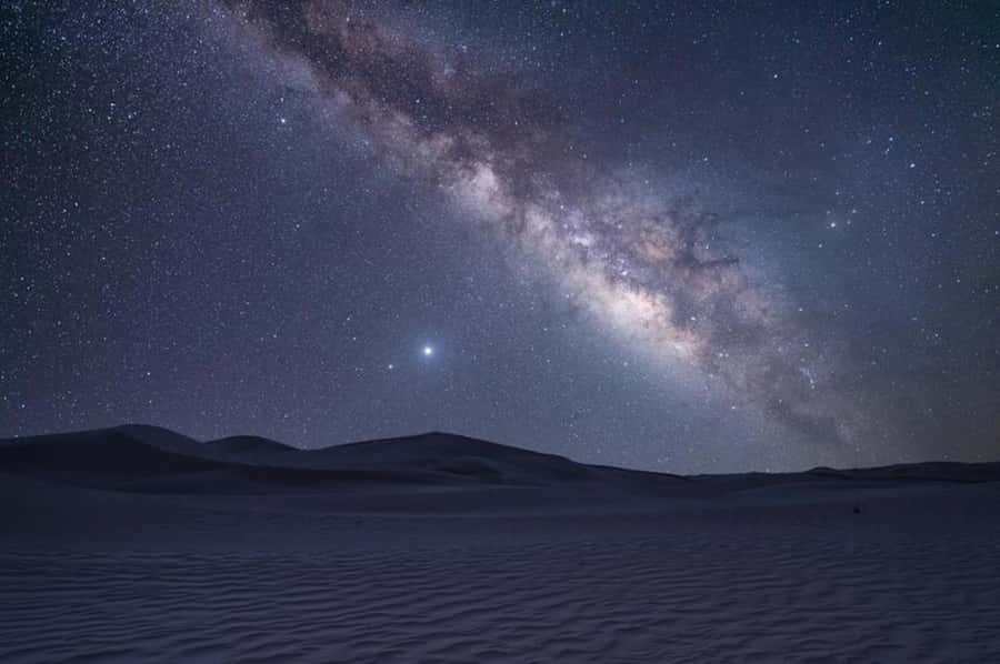 Doha: Night Safari with Dune Bashing and Camel Ride - Who should book this night safari?