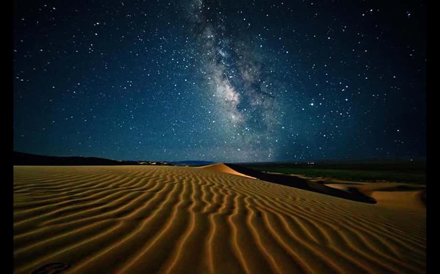 Doha: Night Safari with Dune Bashing and Camel Ride - Practical tips for a smoother evening