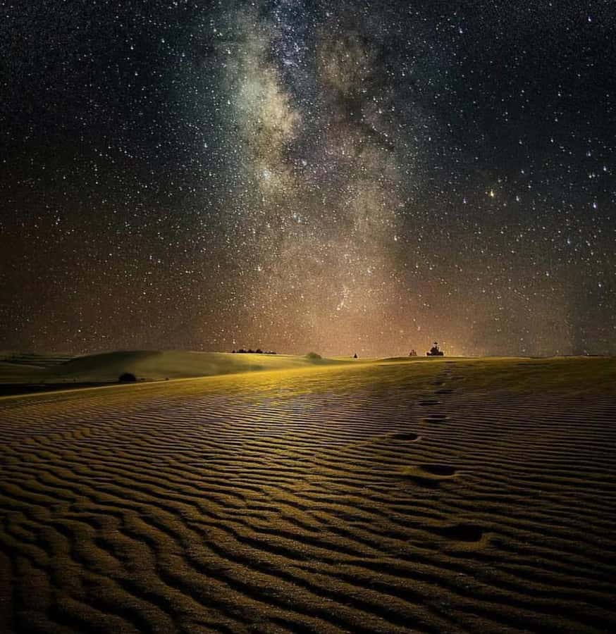 Doha: Night Safari with Dune Bashing and Camel Ride - Dune bashing across Qatar’s golden sand