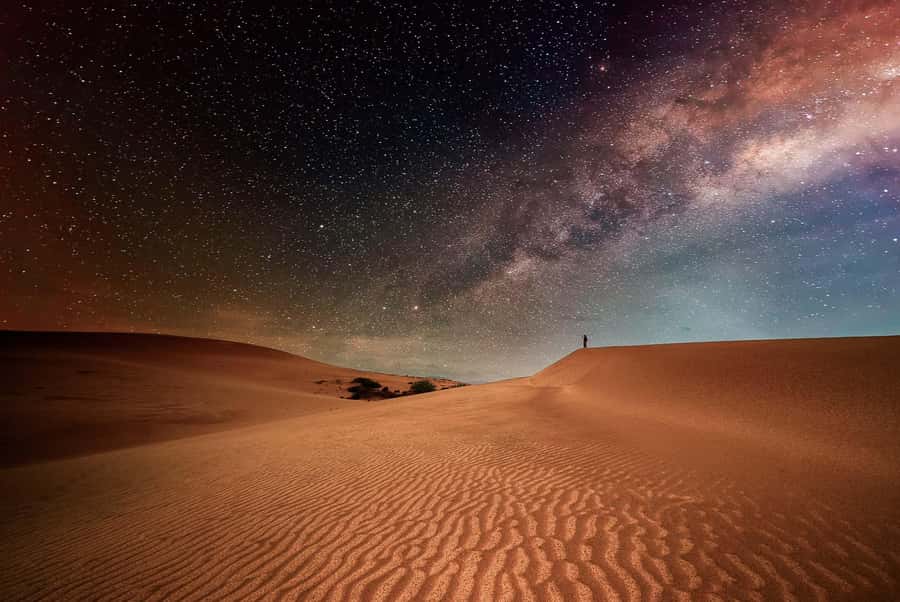 Doha: Nighttime Desert Safari with Dune Bashing & Camel Ride - Sealine Beach Resort: the first taste of desert activity