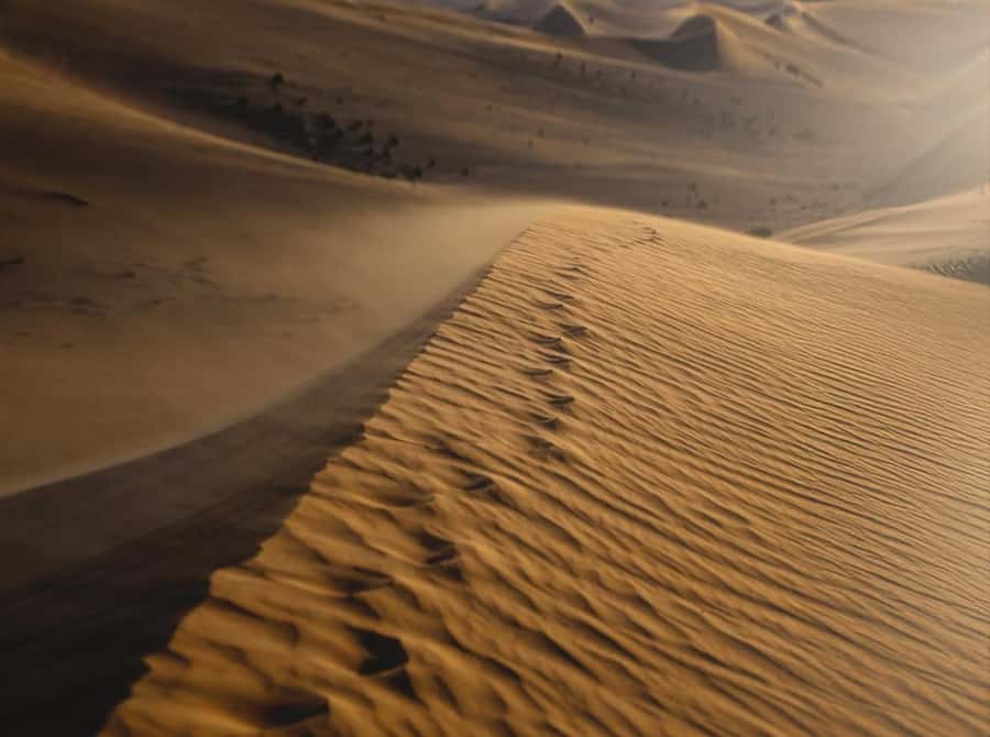 Doha: Nighttime Desert Safari with Dune Bashing & Camel Ride - Khor Al Adaid and the Inland Sea