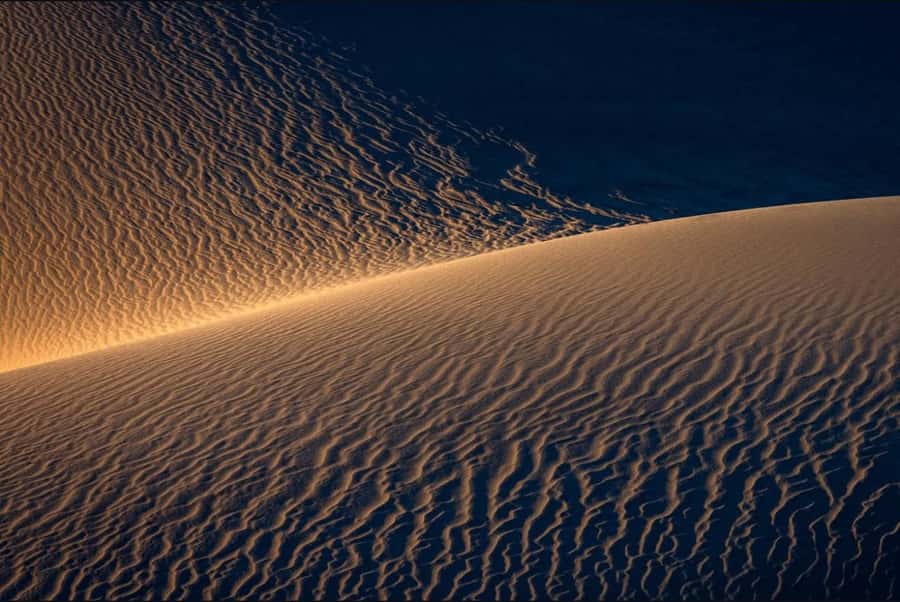 Doha: Nighttime Desert Safari with Dune Bashing & Camel Ride - Tea at the camp and the final ride home