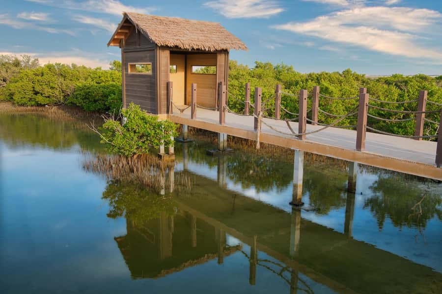 Doha North Qatar Tour Zubara Fort, Mangroves, Jumail Village - What this northern Qatar tour is really about