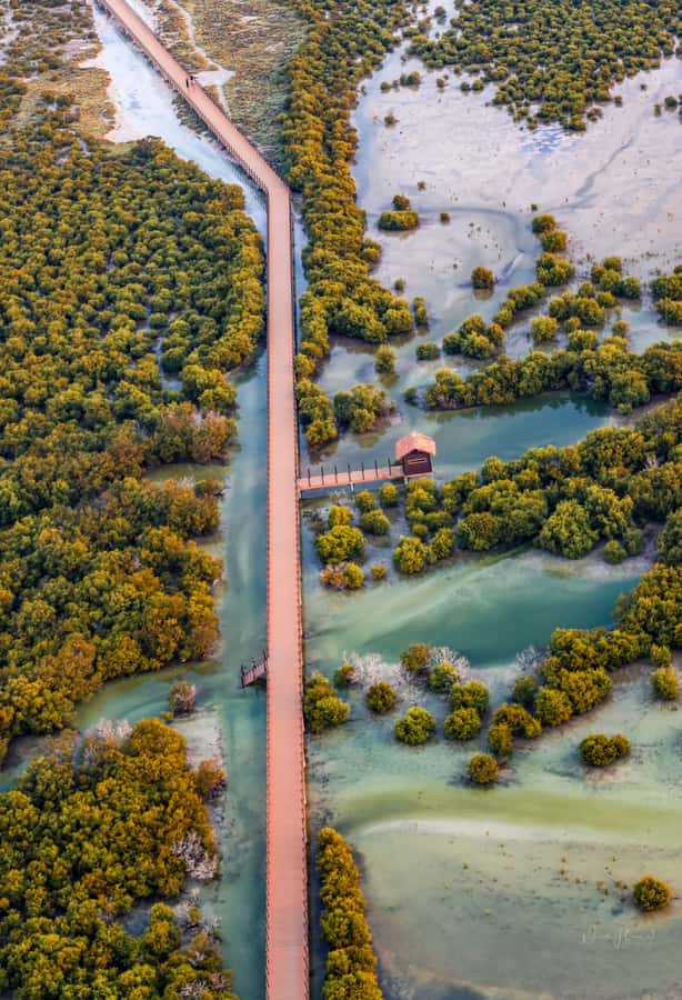 Doha North Qatar Tour Zubara Fort, Mangroves, Jumail Village - Al Thakira mangroves, a green pause in the north
