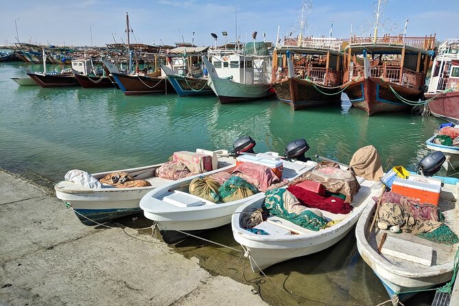 Doha North Tour Zubara Fort Jumail Village Purple Island - Is $130 a fair price?